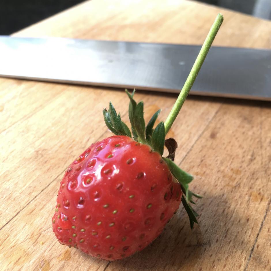 Its time for strawberries, in New Zealand at least